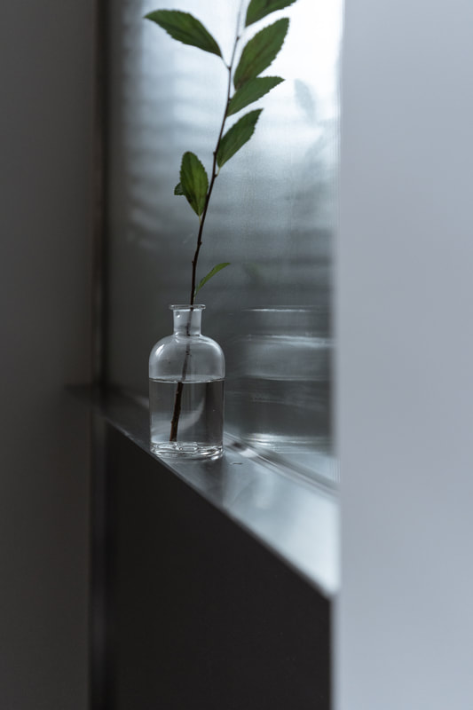 Apartment X